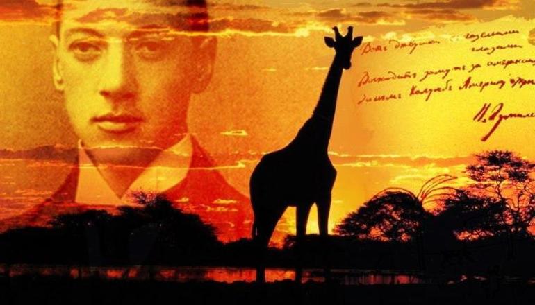 Стихотворение Николая Гумилева «Жираф»