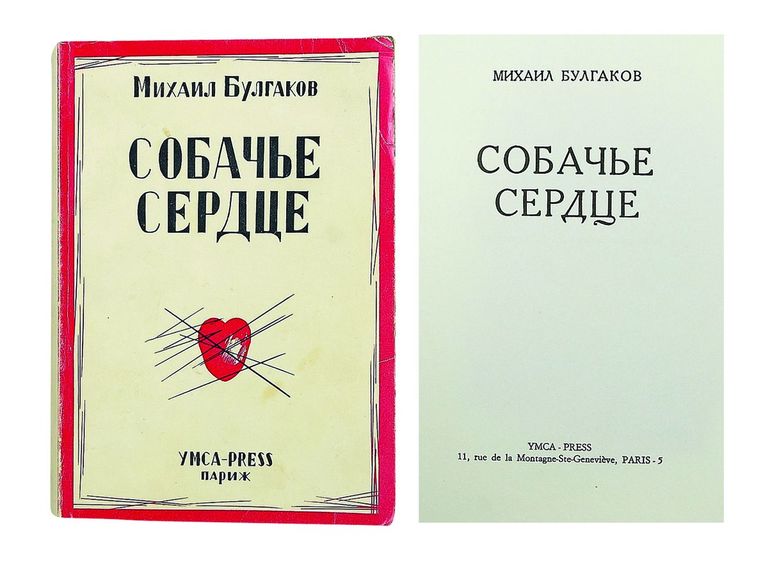 Собачье сердце о чем