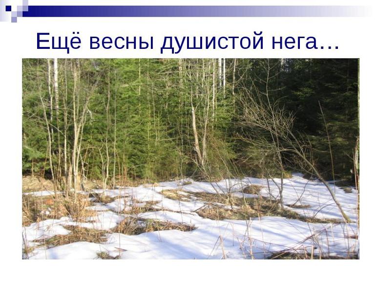 Стихотворение Афанасия Фета «Еще весны душистой нега»