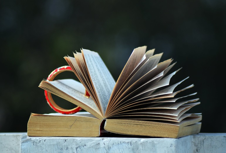 Овод краткое содержание