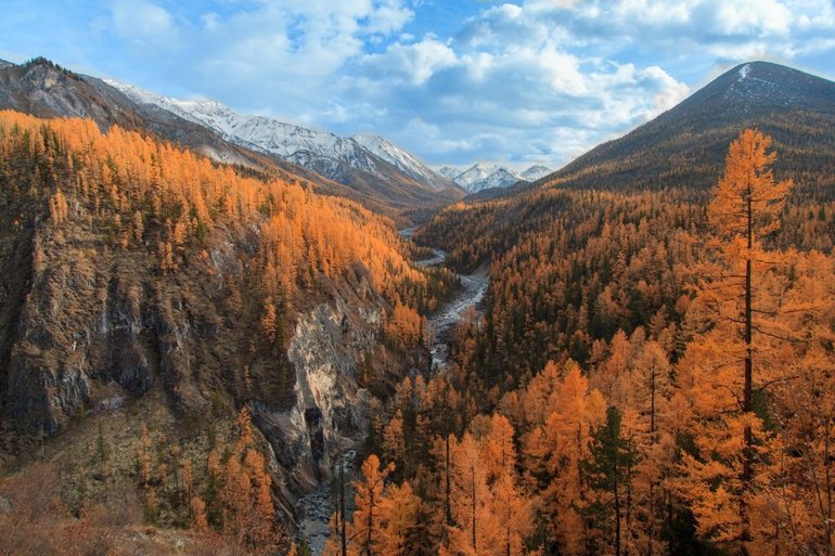 Восточная сибирь краткая характеристика