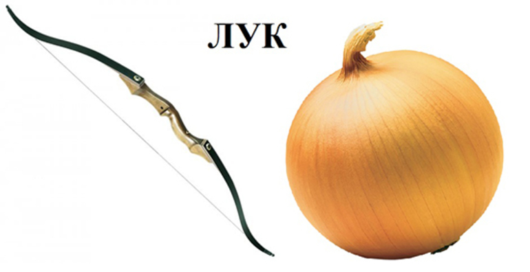 Многозначные слова что это