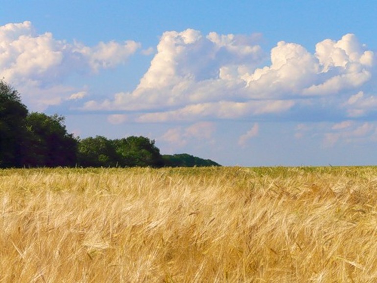  описание степи в повести тарас бульба