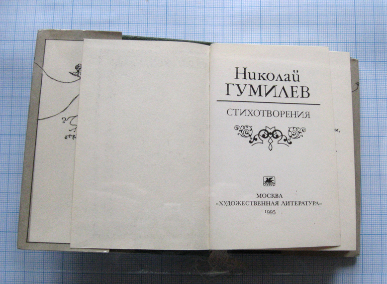 Стихи Гумилева «Я и вы»