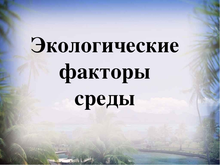 Экологические факторы что такое 