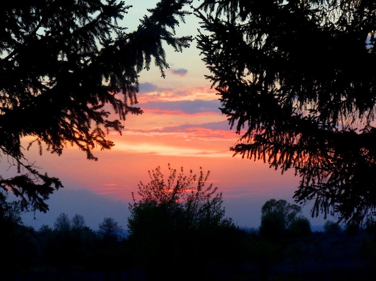 Еще майская ночь анализ