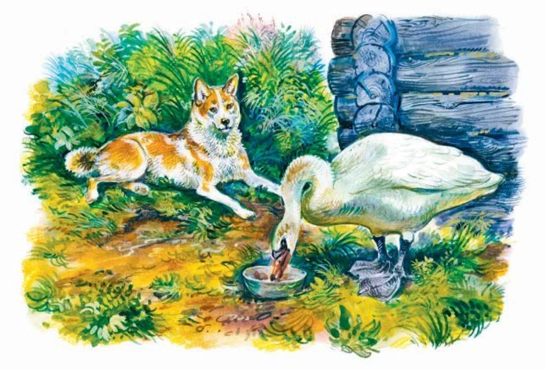 Приемыш читательский дневник мамин сибиряк 