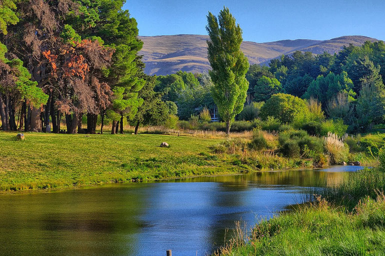 Умеренный климат