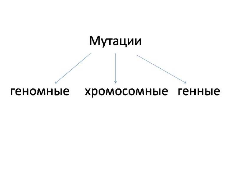 Виды мутаций