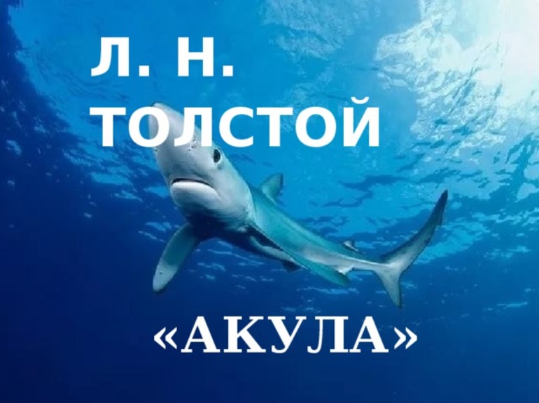 Рассказ Льва Толстого «Акула»