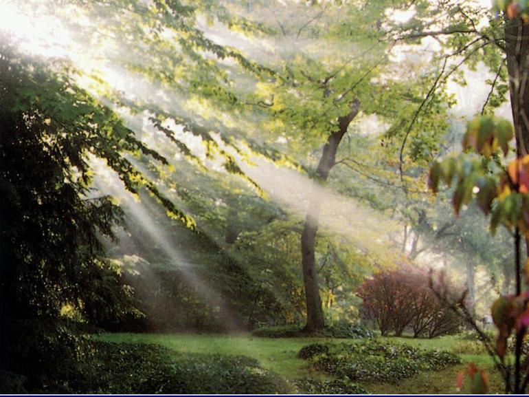 Фет это утро радость эта 