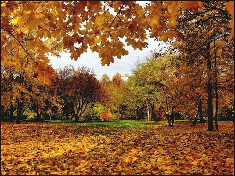 Листопад бунин сравнения 