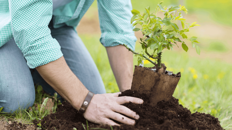 Охрана растений 