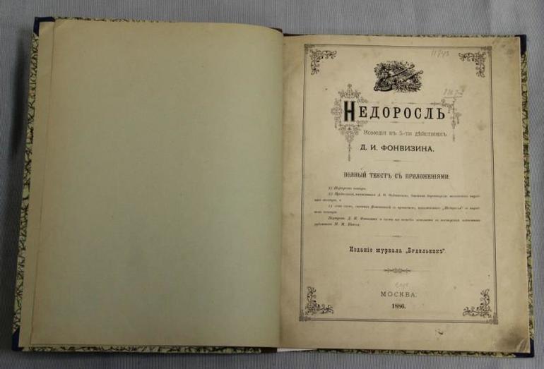 Жанр недоросль