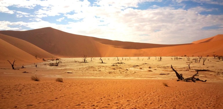Климатический пояс пустыни