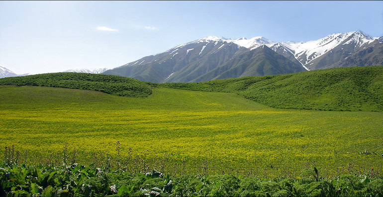 Равнины это