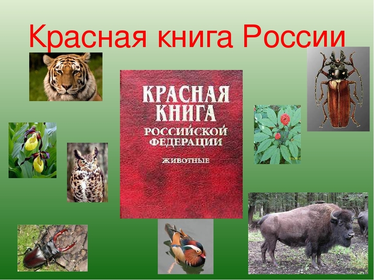 Красная Книга России