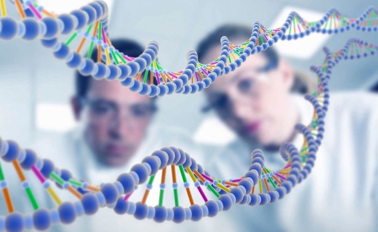 Основы генетики