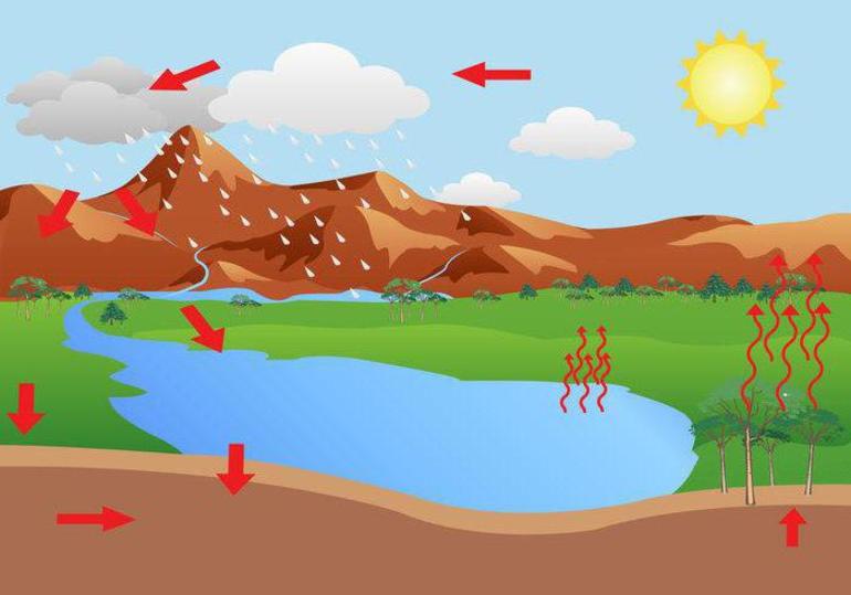Ритмичность географической оболочки 