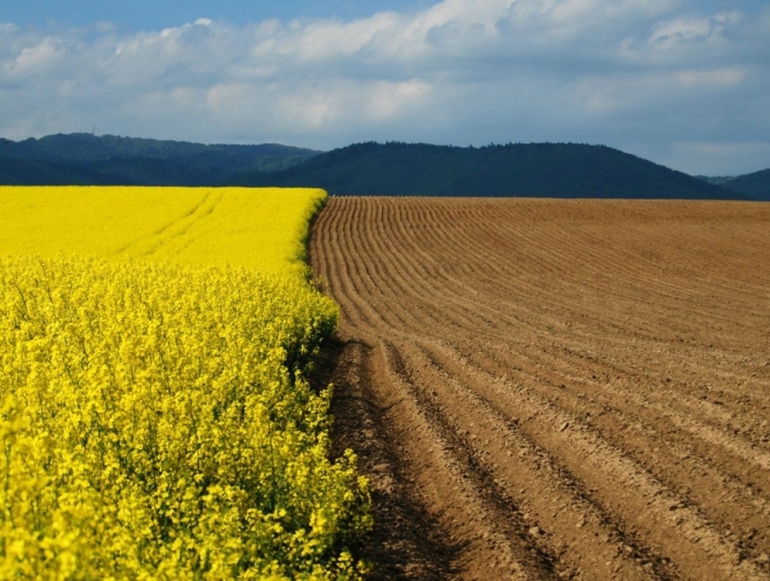 Что называется земельными ресурсами