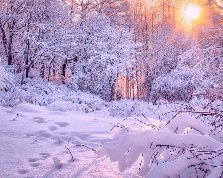 Чародейкою зимою околдован лес стоит анализ