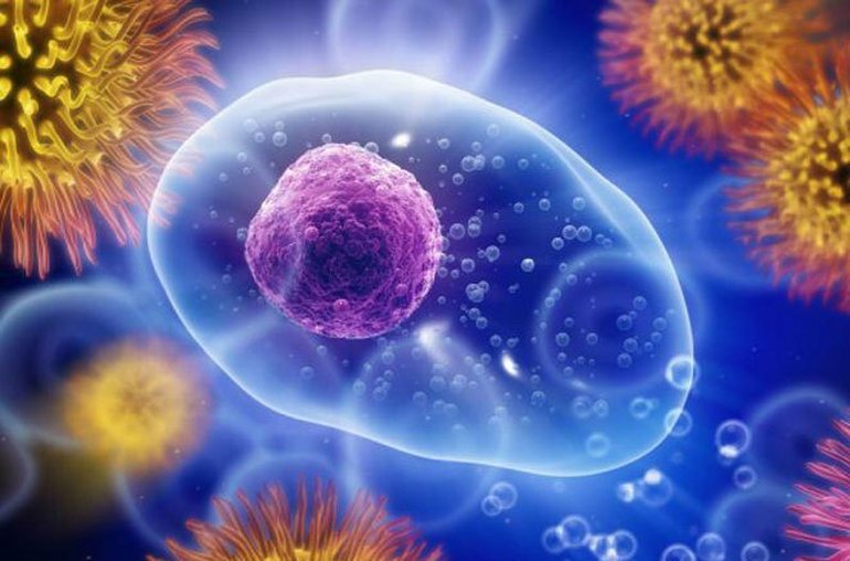 Клеточный иммунитет