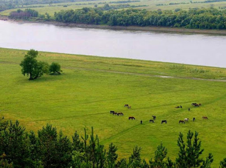 Русская равнина