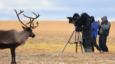 В прокат выходит остросюжетный фильм «Цинга», снятый на Ямале